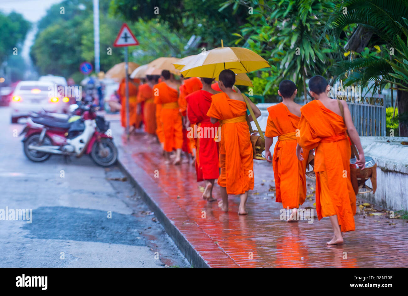 Buddhistische Almosen, die in Luang Prabang Laos Zeremonie abgaben Stockfoto