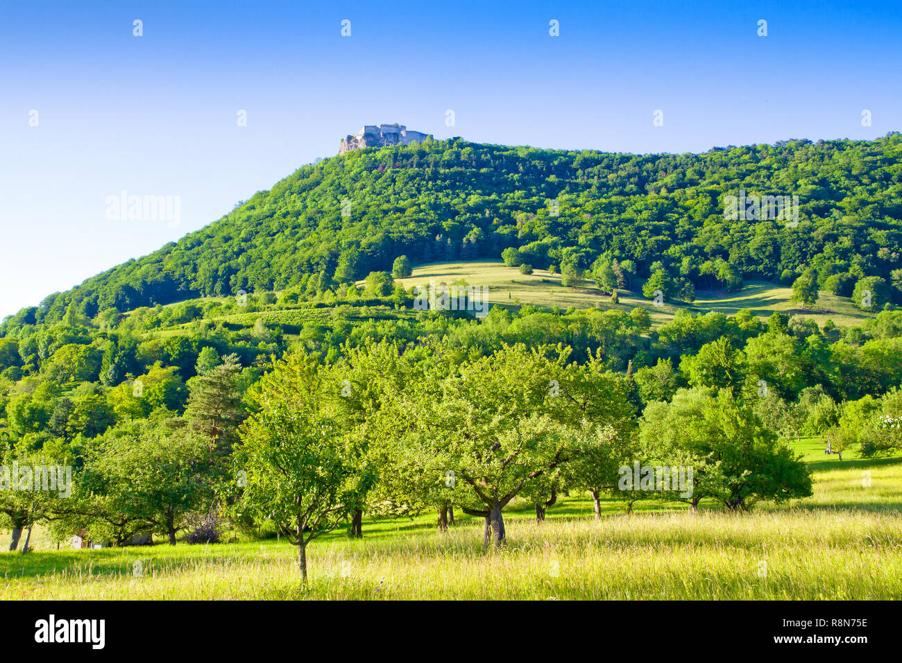Blick auf die Burg Hohenneuffen, schwäbischen Alb, Deutschland Stockfoto
