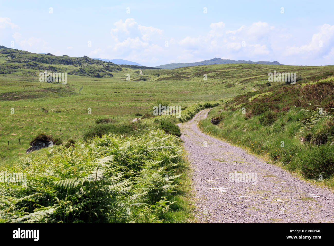 Alte Kenmare Road, County Kerry, Irland Stockfoto