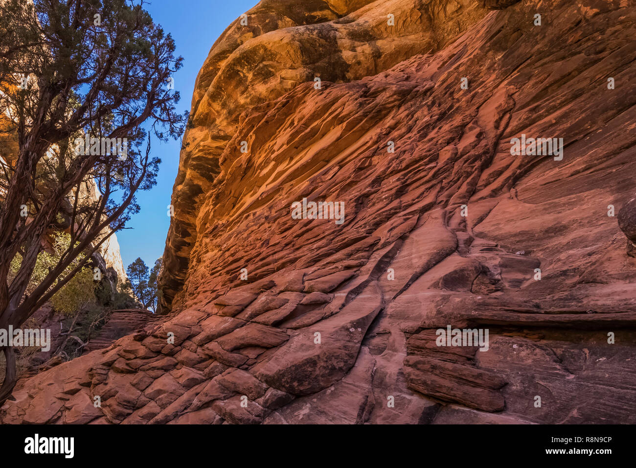 Red Rock Passage entlang der Chesler Park Loop Trail im Needles District des Canyonlands National Park, Utah, Oktober, USA Stockfoto