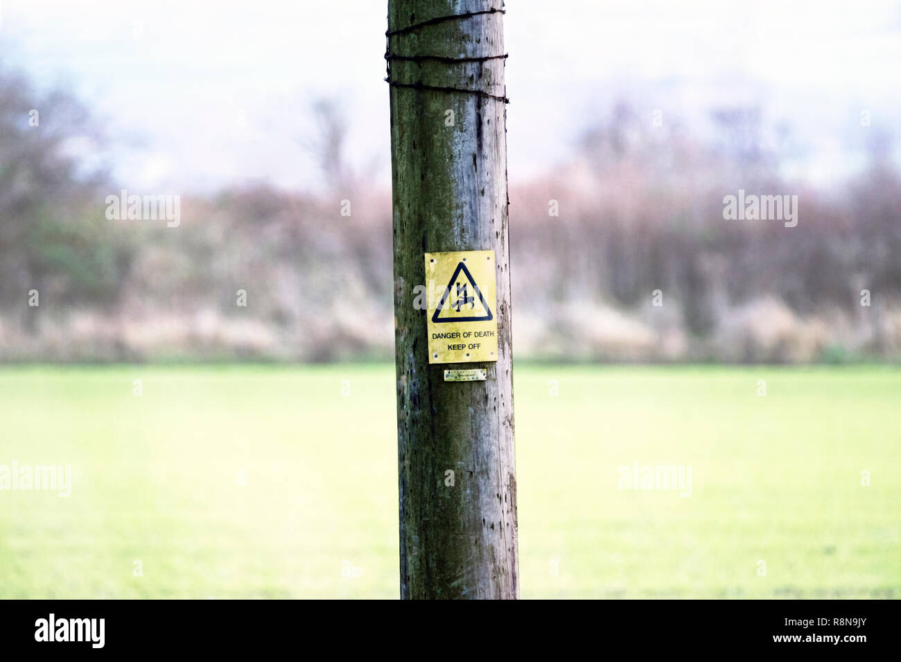 Strom Gefahr des Todes dreieckige Warnung vor gelben rechteckigen Hintergrund am Telegrafenmast im Feld gegen Defokussierten hellen Hintergrund. Stockfoto