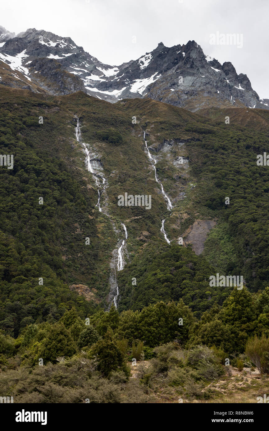 Wildnis, Südinsel, Neuseeland Stockfoto