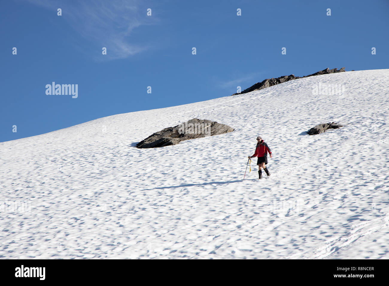 Wandern im Mount Aspiring National Park, Neuseeland Stockfoto