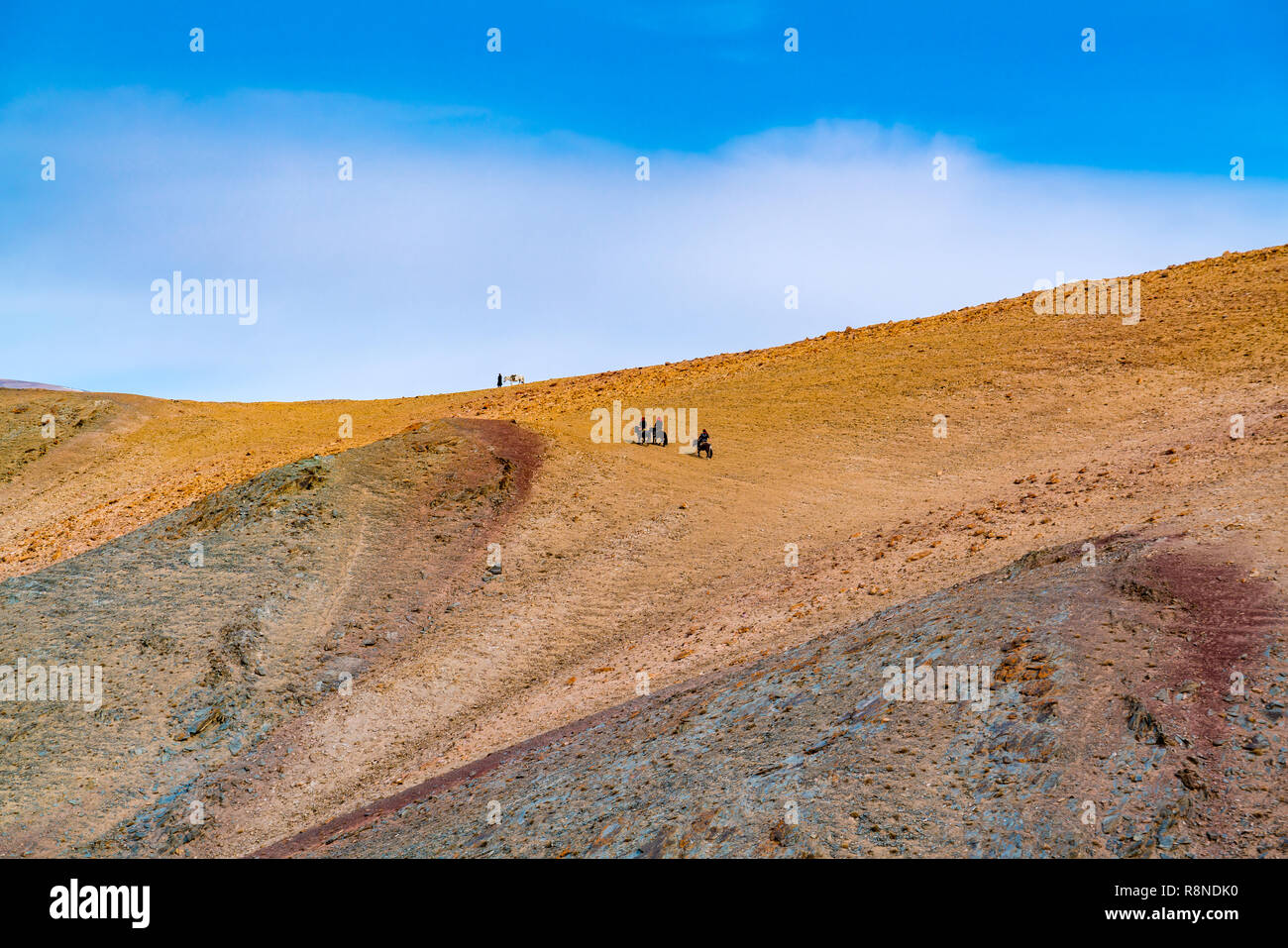 Mongolische goldene Egle Jäger in traditioneller Kleidung mit ihren goldenen Adler auf dem Arm Reiten auf die Spitze des Berges, um die zu lösen Stockfoto