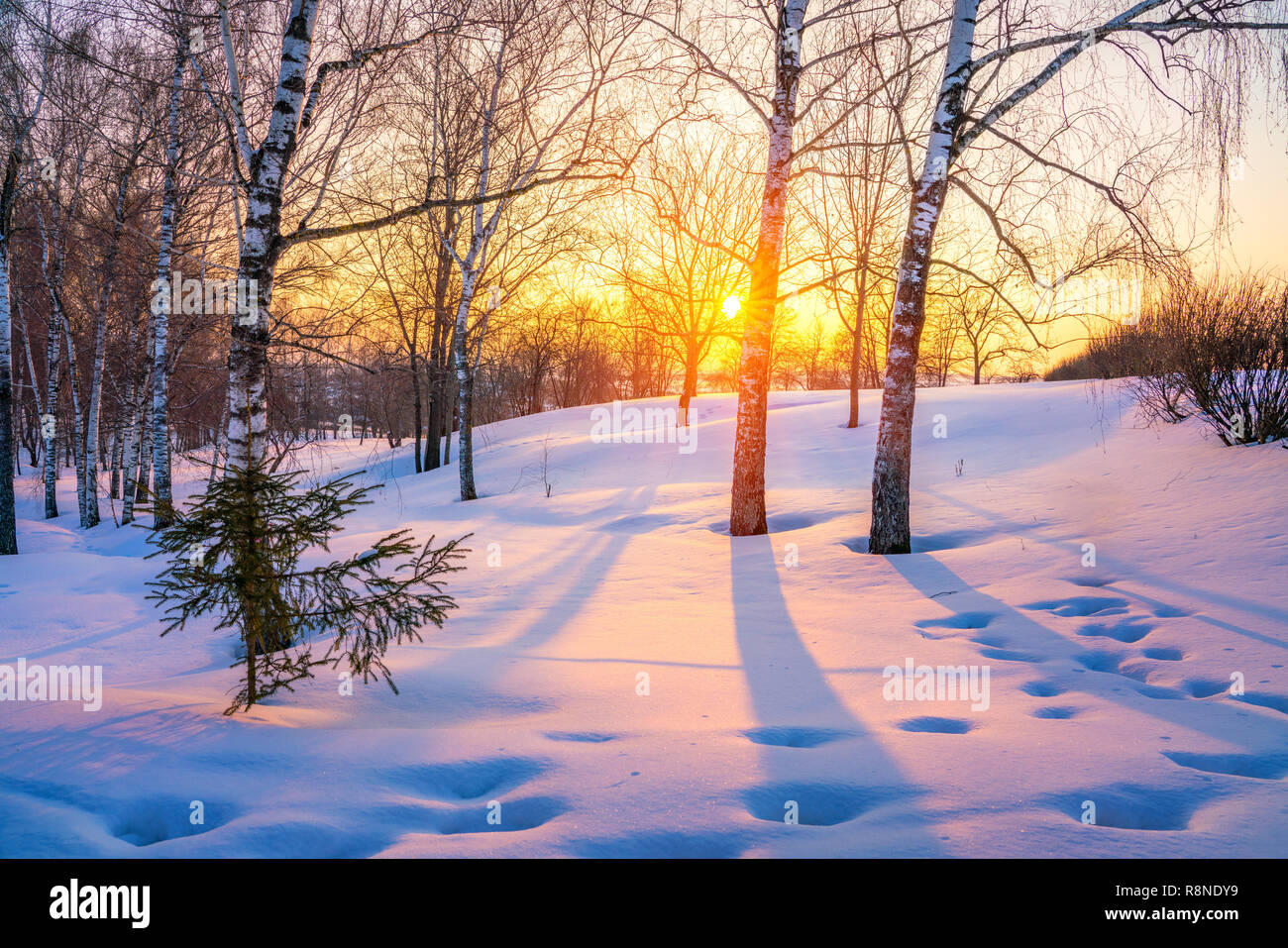 Bunte Winter Sonnenuntergang Stockfoto
