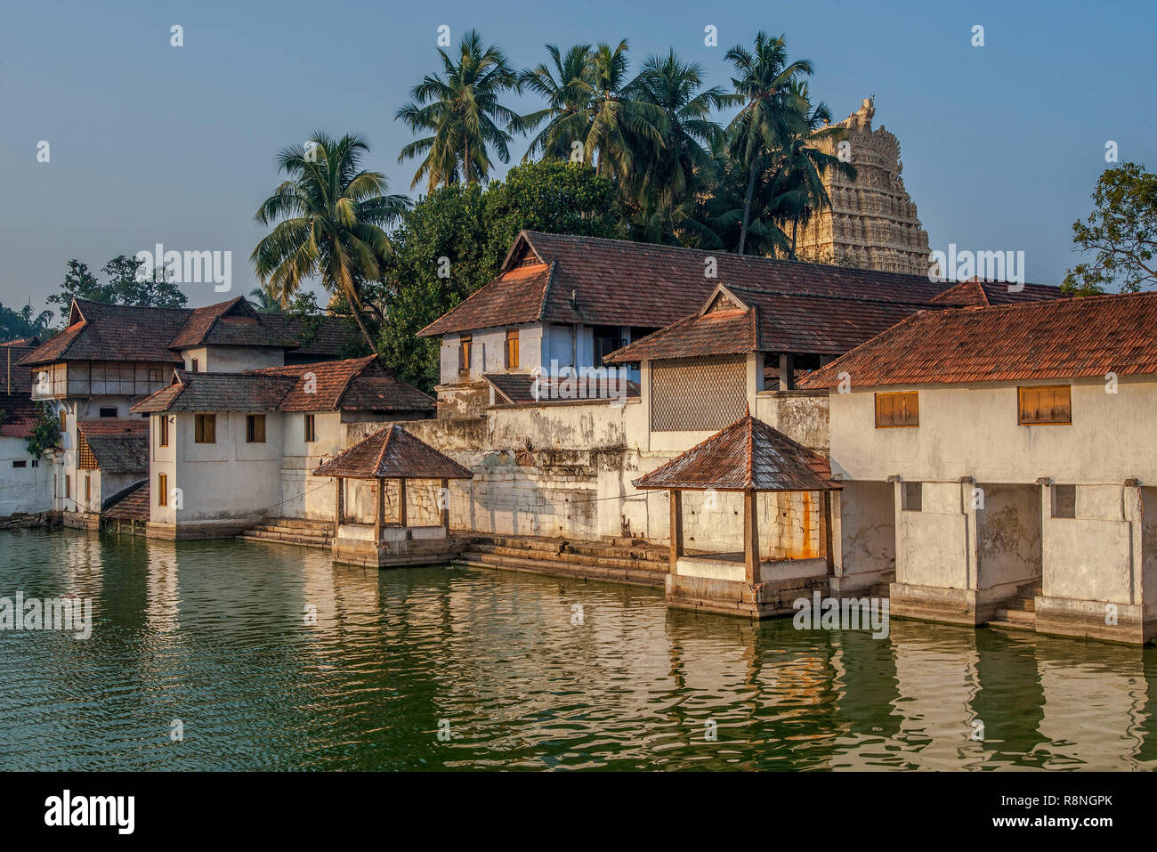 19-Jan-2013 - Die Padmatheertham Teich von Sri Padmanabhaswamy Temple, einer der ältesten Gewässer in der Stadt Trivandrum kerala Indien Asien Stockfoto