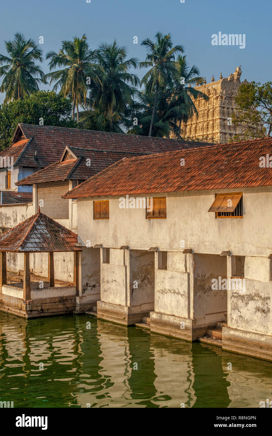 19-Jan-2013 - Die Padmatheertham Teich von Sri Padmanabhaswamy Temple, einer der ältesten Gewässer in der Stadt Trivandrum kerala Indien Asien Stockfoto