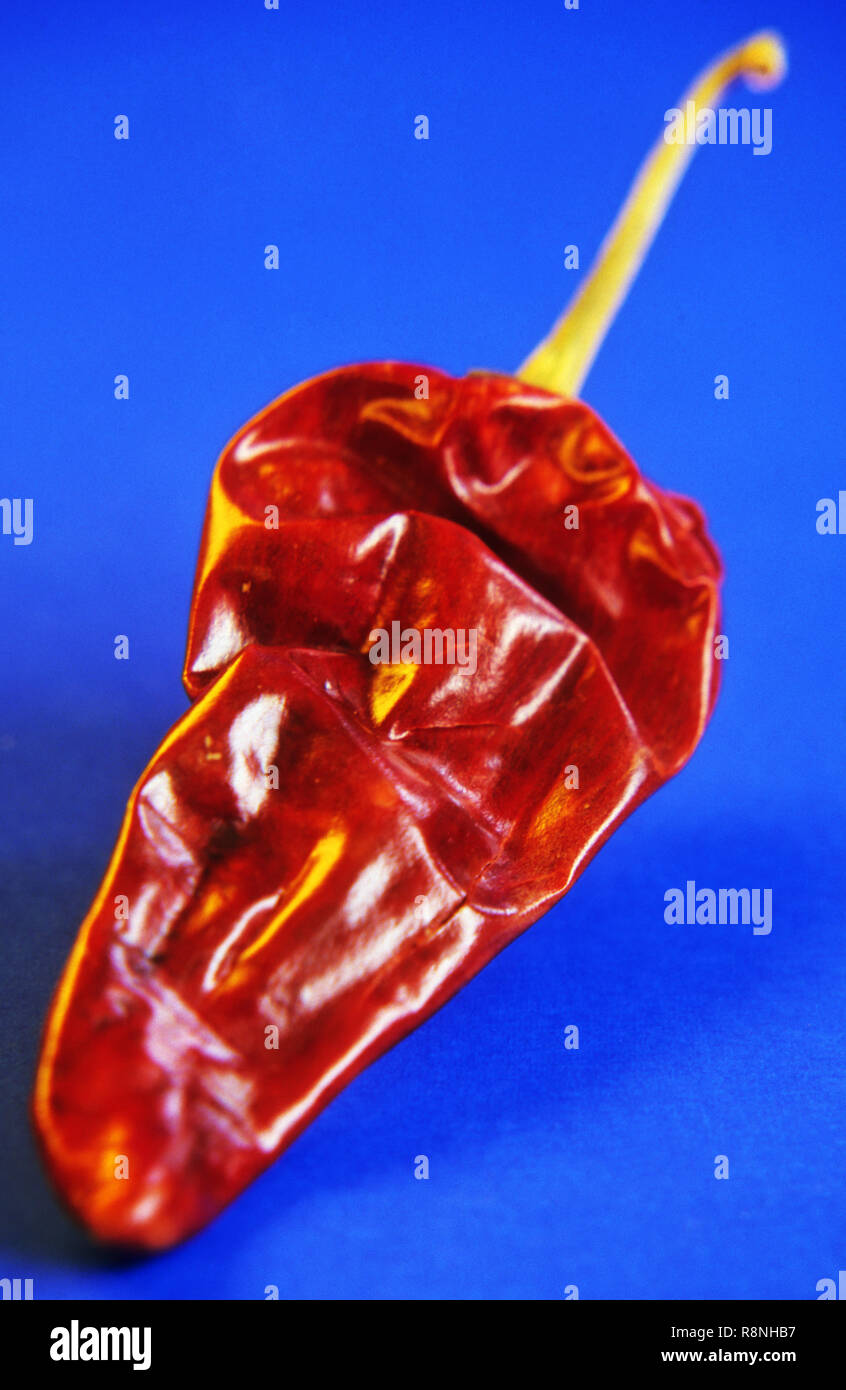 Gewürze - Rote Chilis Stockfoto