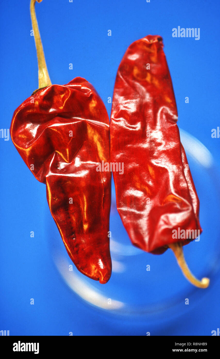 Gewürze - Rote Chilis Stockfoto