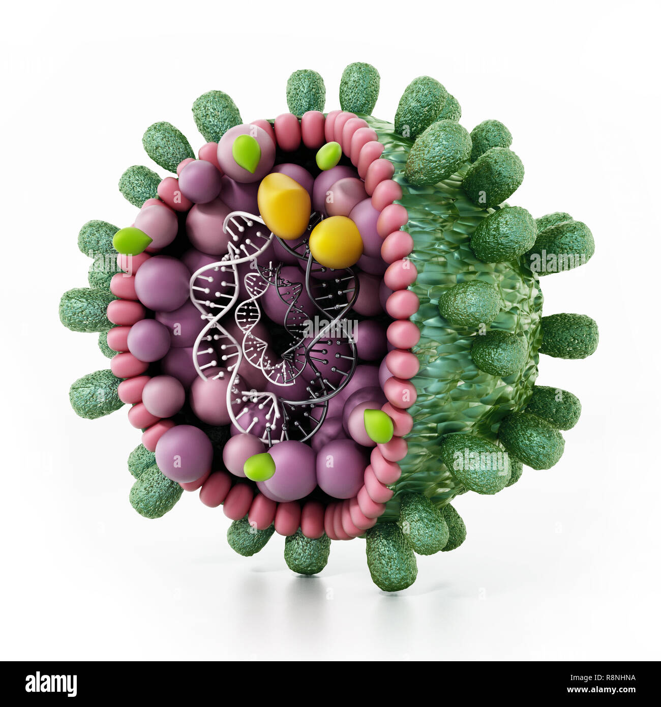 Konstruktive Detail des Hepatitis B-Virus auf weißem Hintergrund. 3D-Darstellung. Stockfoto