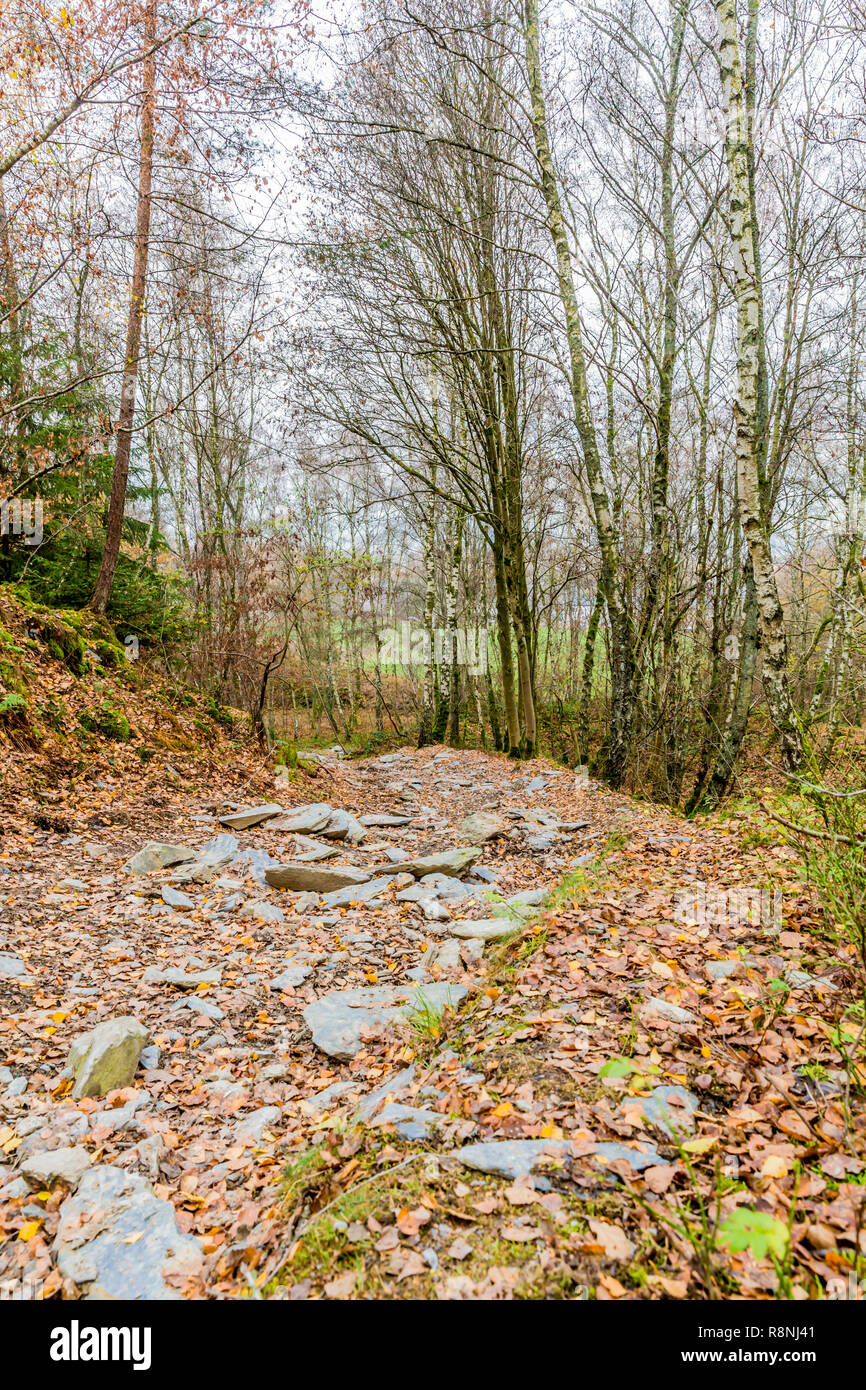 Tolles Bild einer unbefestigten Straße mit vielen losen Steinen in der Mitte des Waldes auf einem wundervollen kalten Herbsttag in der Belgischen Ardennen Stockfoto