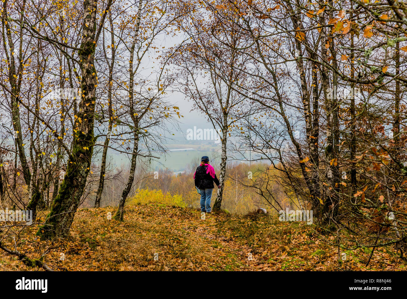 Schönes Bild einer Frau, die Beobachtung der Ortschaft Vielsalm vom Hügel Bec du Corbeau an einem bewölkten und kalten Herbsttag in den Belgischen Ardennen Stockfoto