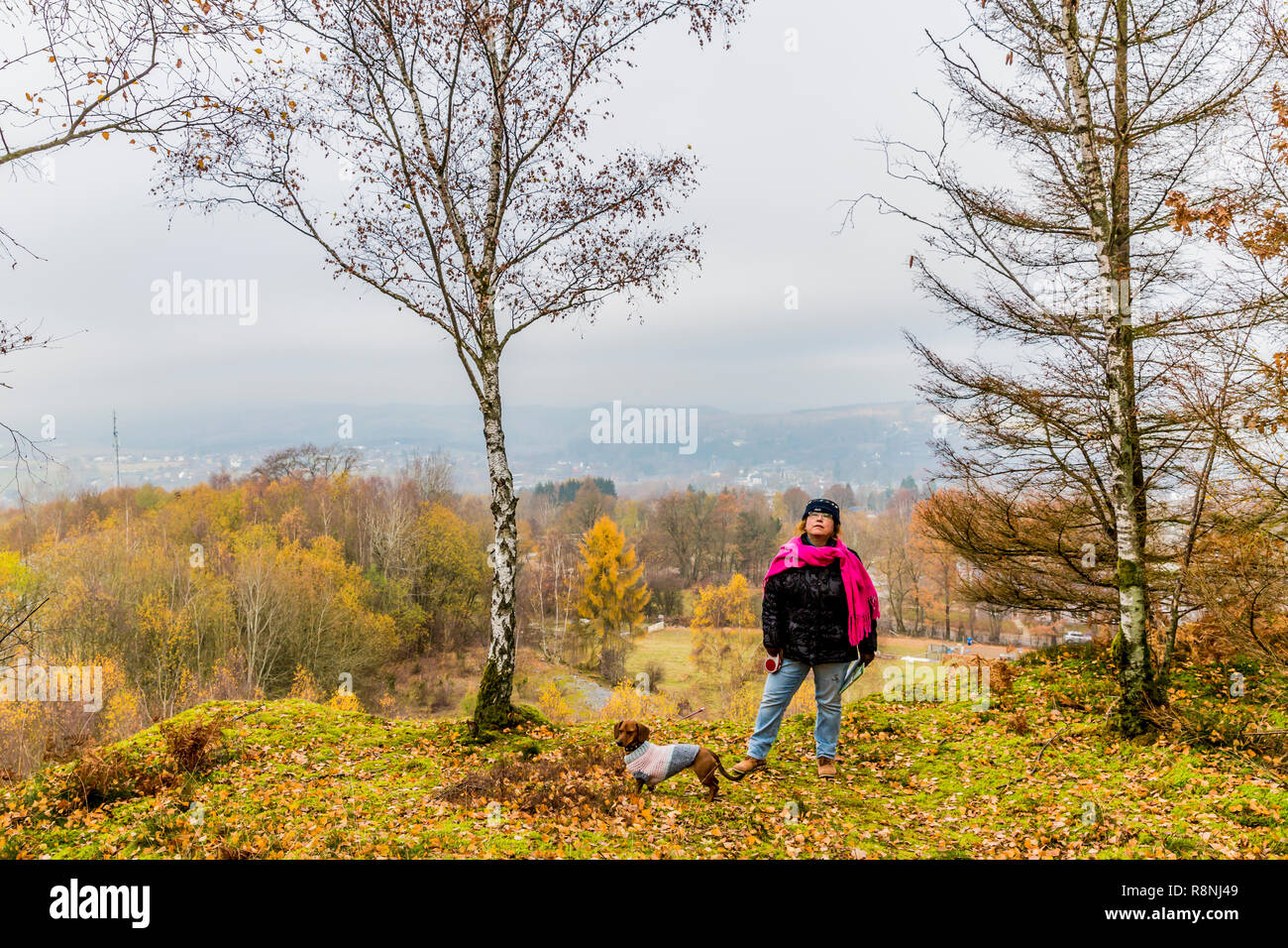 Schönes Bild einer Frau gehen mit Ihrem Hund auf dem Hügel Bec du Corbeau an einem bewölkten und kalten Herbsttag in den Belgischen Ardennen Stockfoto