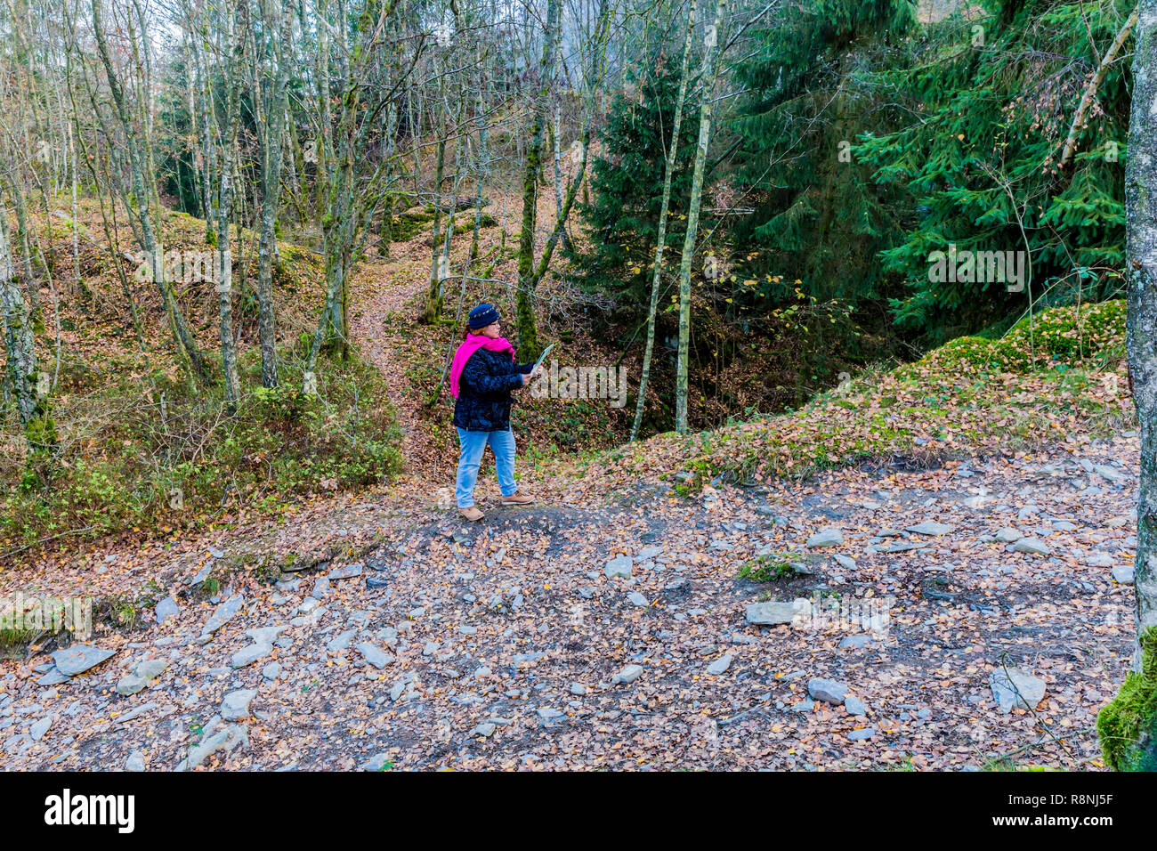 Bild einer Frau auf einer Karte den Weg zu den HIL-Bec du Corbeau auf eine wunderbare und kalten Herbsttag in den Belgischen Ardennen überprüfen Sie suchen Stockfoto