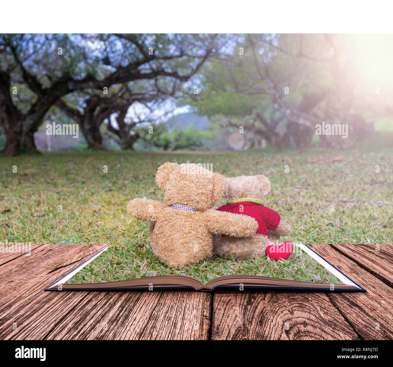 Buch Bild von zwei TEDDY Braunbär Farbe sitzen auf Gras unter dem Baum mit der Sun Ray öffnen Stockfoto