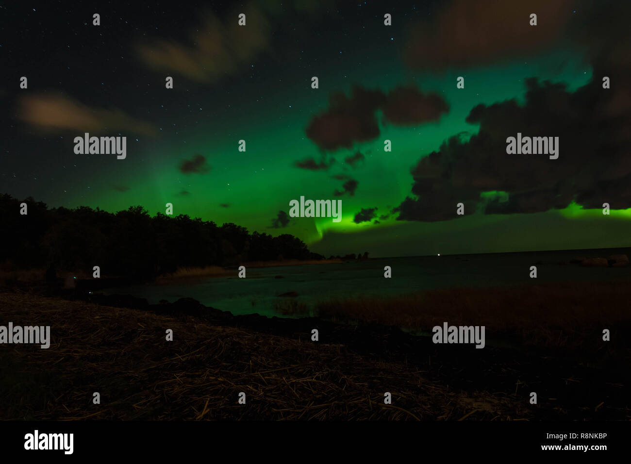 Grüne nordlichter an der Küste bei Nacht Stockfoto