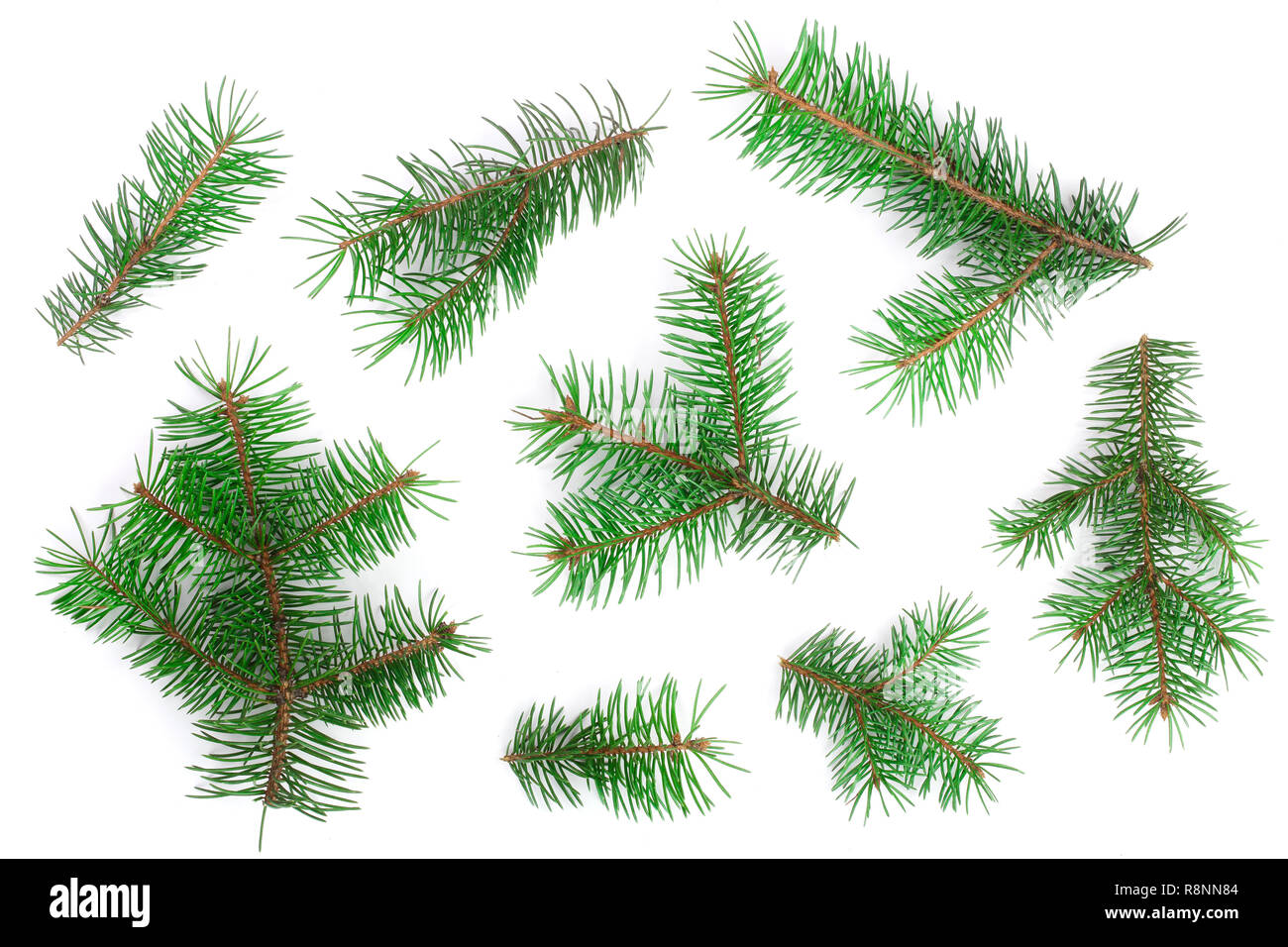 Fir Tree Branch auf weißem Hintergrund. Weihnachten Hintergrund. Ansicht von oben Stockfoto