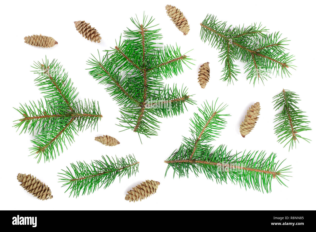 Fir Tree Branch mit Kegeln auf weißem Hintergrund. Weihnachten Hintergrund. Ansicht von oben Stockfoto