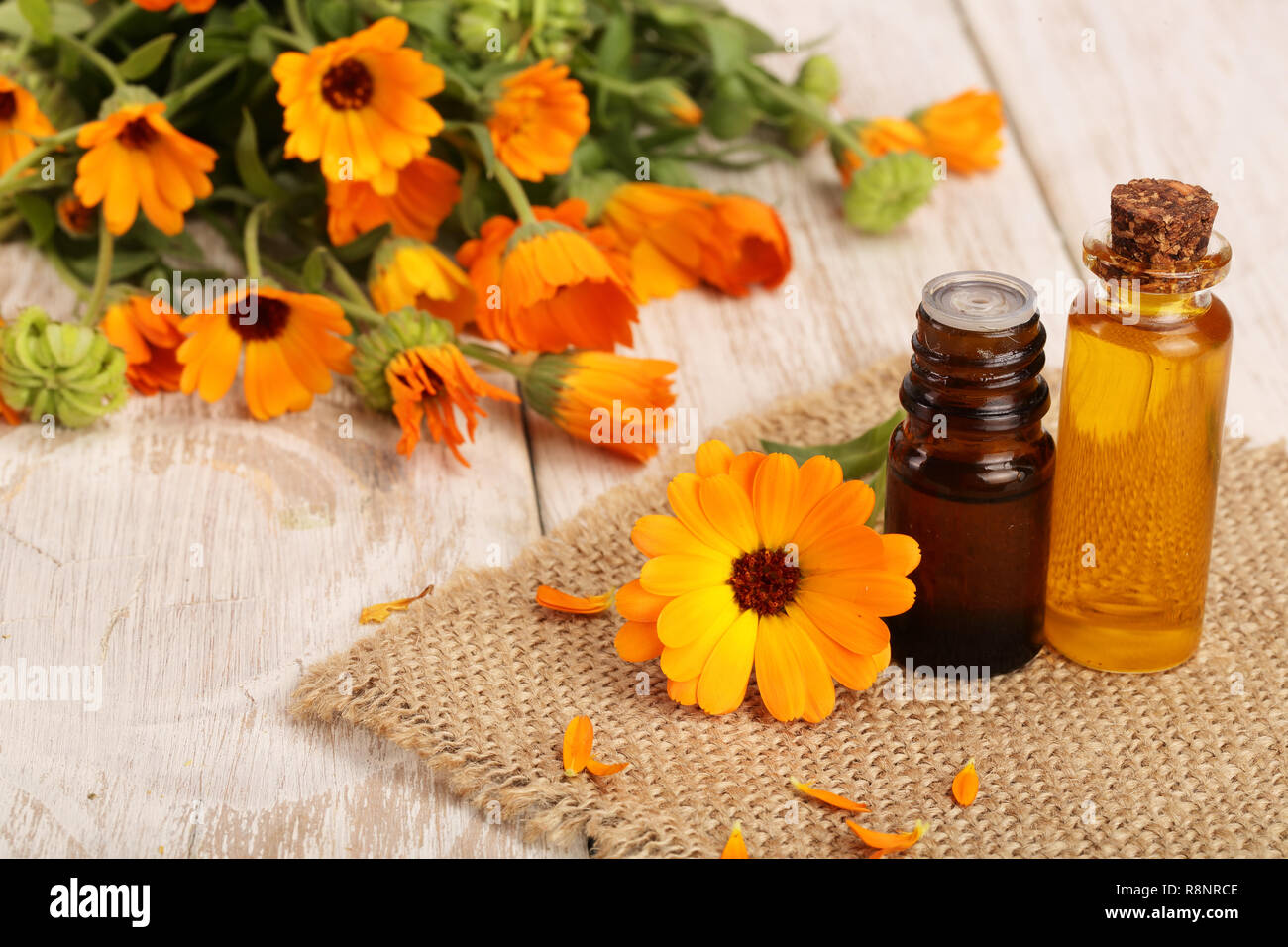 Aromatherapie ätherisches Öl mit frischen Ringelblume Blumen auf weißem  Holz- Hintergrund. Calendula Öl Stockfotografie - Alamy