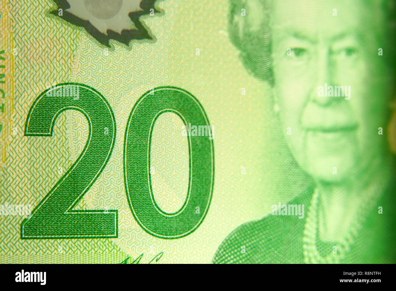 Nahaufnahme eines 20 kanadische Dollar Bill mit dem Portrait der Königin Elizabeth II. Stockfoto