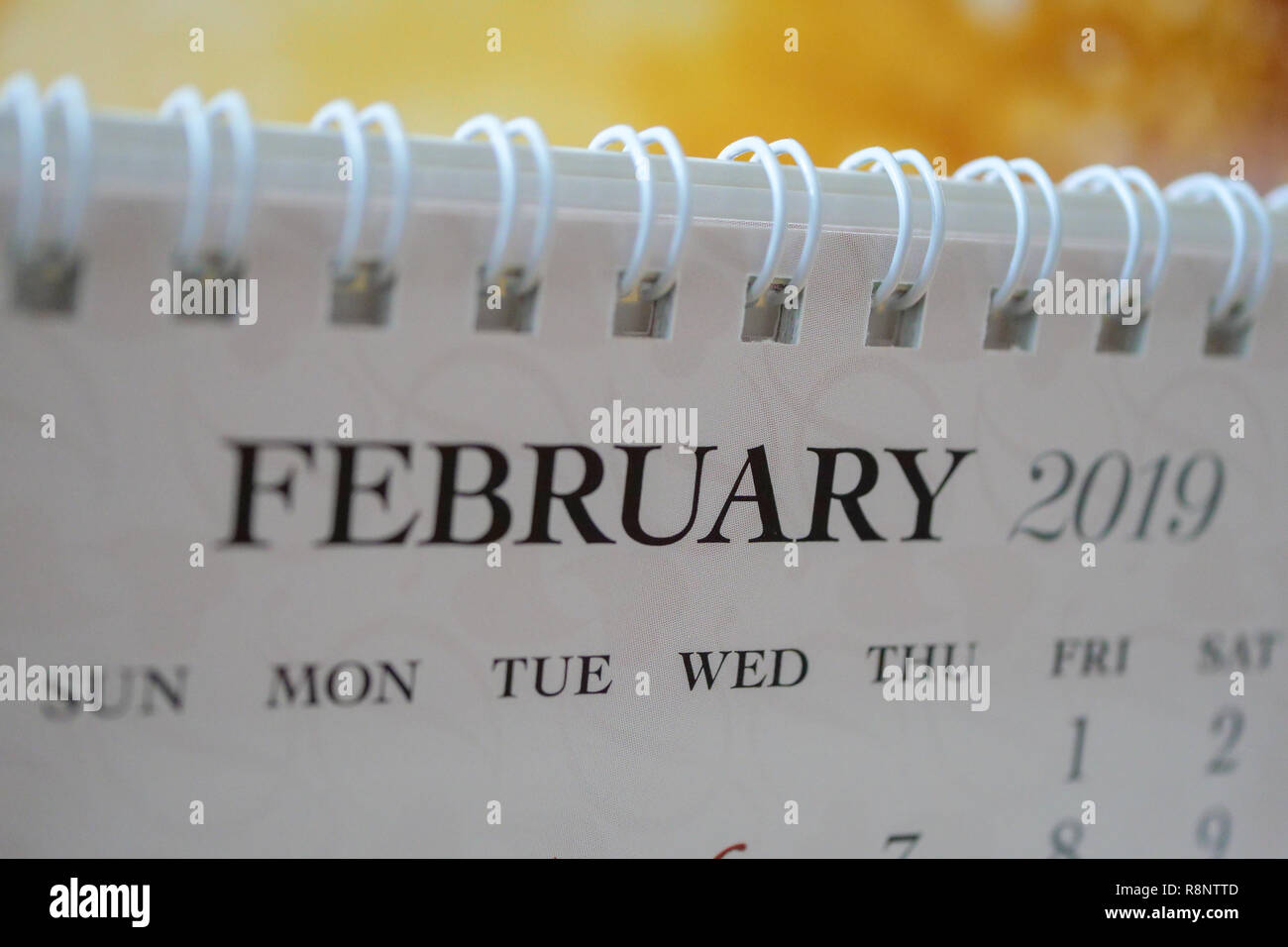 Close up Kalender Februar 2019 Stockfoto