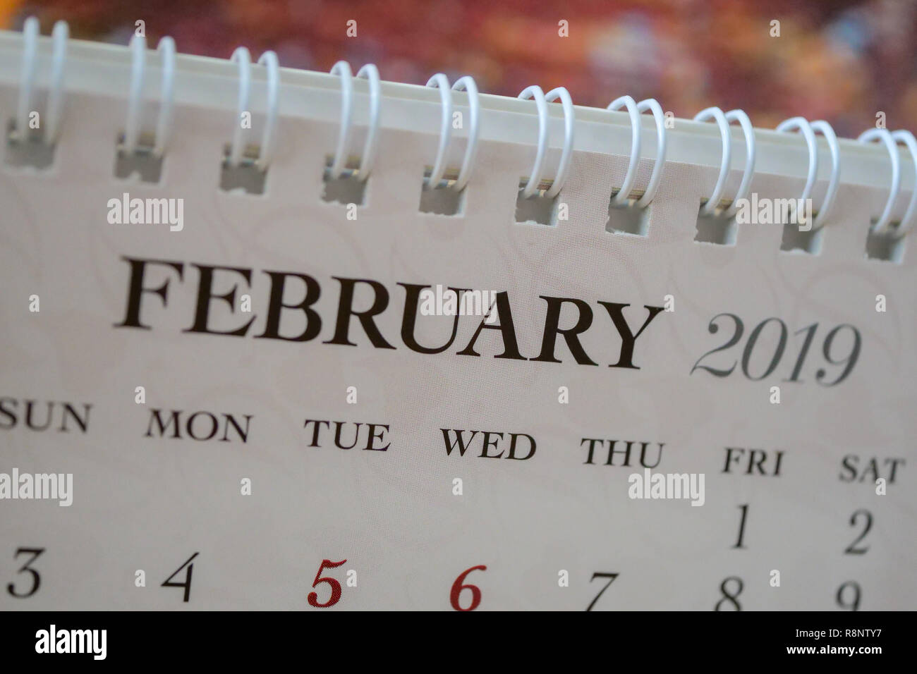 Close up Kalender Februar 2019 Stockfoto