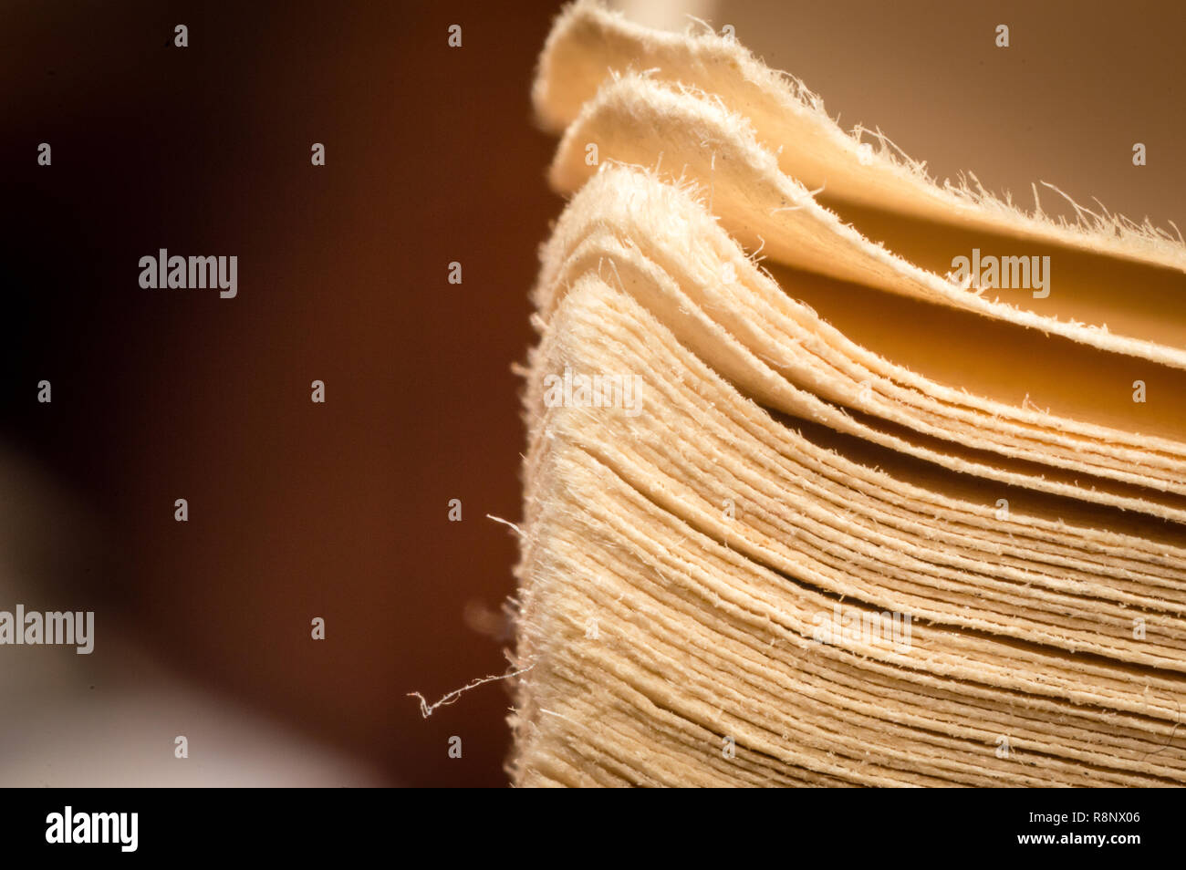 - Nahaufnahme Makro alten Vintage getragen meliert Rand fotografiert Seiten eines offenen Buches Stockfoto