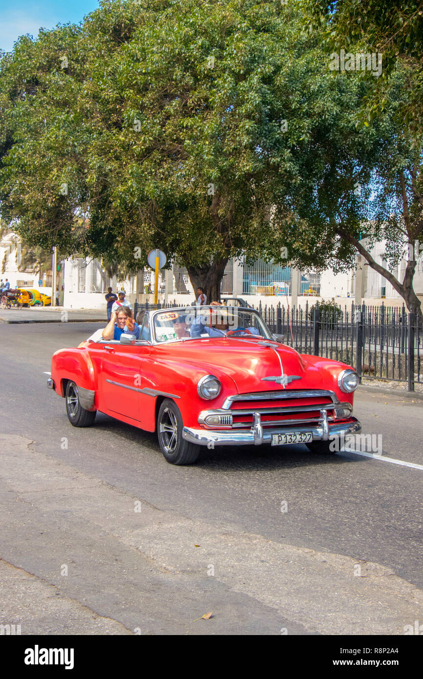 Ein rotes Oldtimer-Cabriolet fährt eine von Bäumen gesäumte Stadtstraße mit eisernem Zaun unter hellem Tageslicht in havanna kuba hinunter Stockfoto