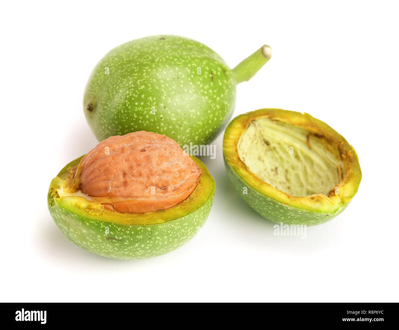 Frische Walnüsse in der Schale auf weißem Hintergrund Stockfoto