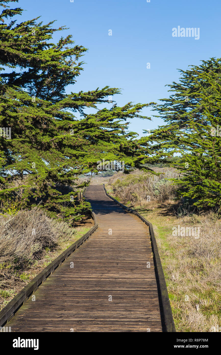Moonstone Beach Boardwalk Cambria auf der zentralen Küste von Kalifornien, USA. Stockfoto