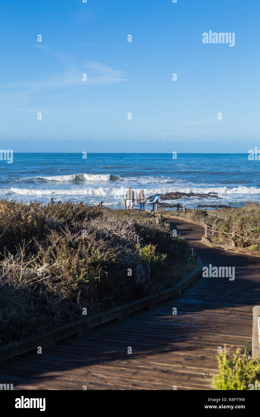 Moonstone Beach Boardwalk Cambria auf der zentralen Küste von Kalifornien, USA. Stockfoto