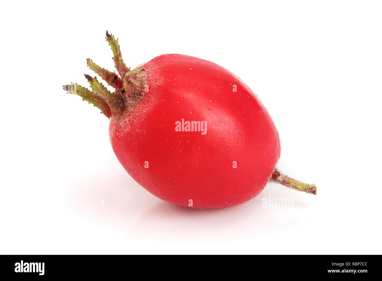 Hawthorn Berry auf weißem Hintergrund schließen isoliert - oben Stockfoto