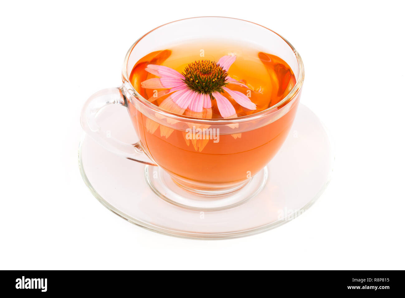 Echinacea Tee auf weißem Hintergrund. Arzneimittel Tee Stockfoto