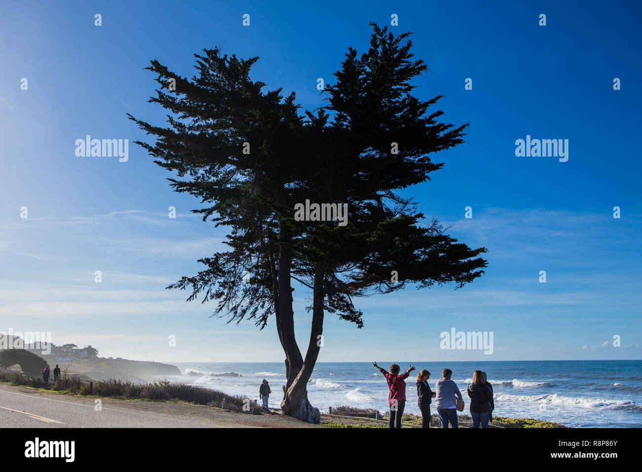Moonstone Beach Boardwalk Cambria auf der zentralen Küste von Kalifornien, USA. Stockfoto