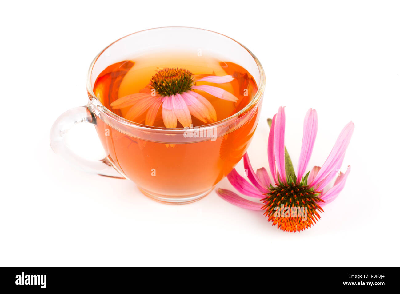 Echinacea Tee auf weißem Hintergrund. Arzneimittel Tee Stockfoto