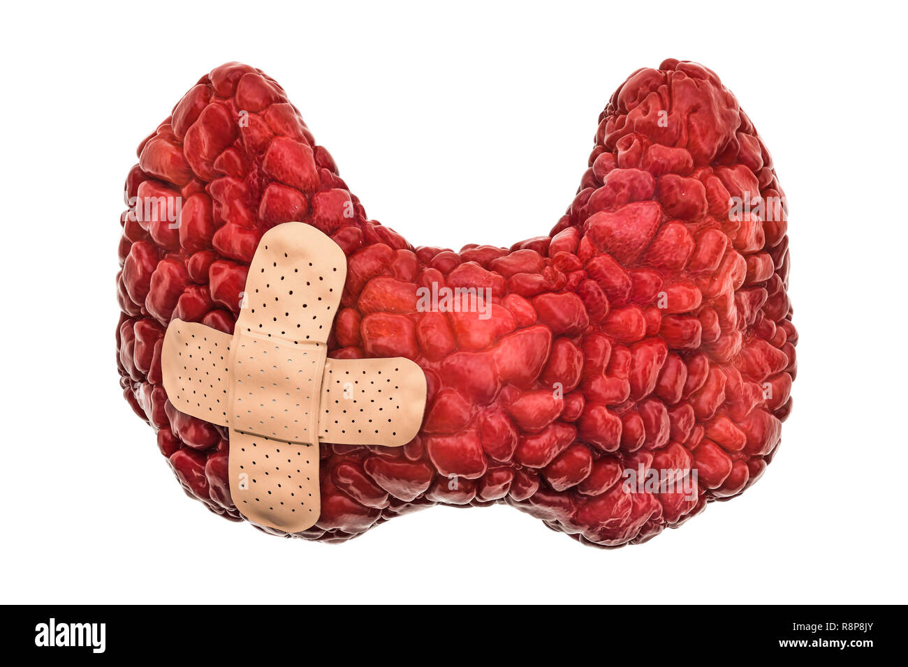 Die menschliche Schilddrüse mit wundschnellverband. Behandlung der Schilddrüse Konzept, 3D-Rendering auf weißem Hintergrund Stockfoto