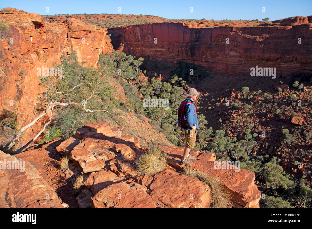 Watarrka National Park, Northern Territory, Australien, 20.10.2018: Mann am Rand des Kings Canyon Rim, hinunter in den Canyon suchen Stockfoto