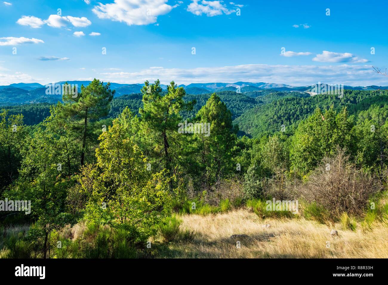 Frankreich, Ardèche, Monts d'Ardèche Regionaler Naturpark, Umgebung von Vesseaux Stockfoto