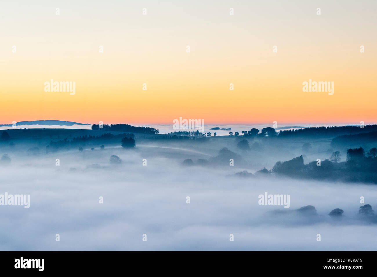 An der Grenze zwischen England und Wales in der Nähe von Knighton, Powys, UK. Abendlicher Blick nach Westen von Stonewall Hügel, die die Täler mit dichten Nebel gefüllt Stockfoto