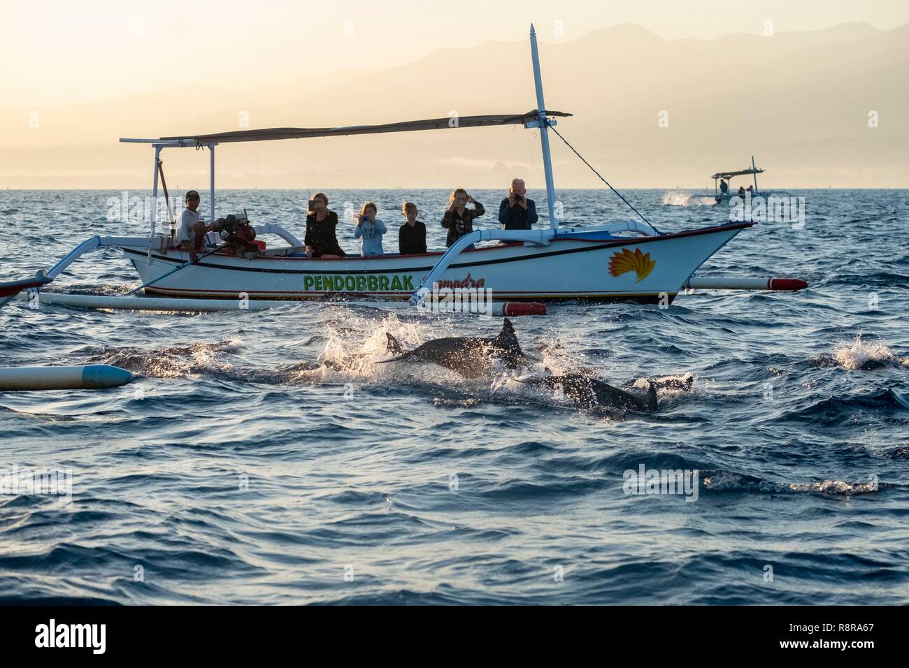Indonesien, Bali, Norden, Lovina, Bootsfahrt in der Morgendämmerung zu Delphine beobachten Stockfoto