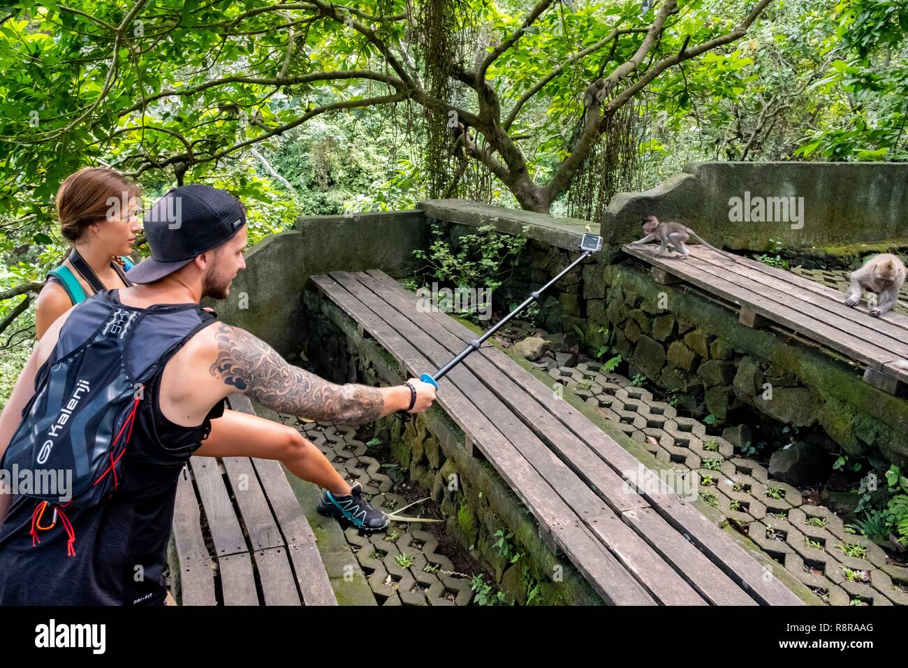 Indonesien, Bali, Ubud, Affenwald (Monkey Forest) Stockfoto