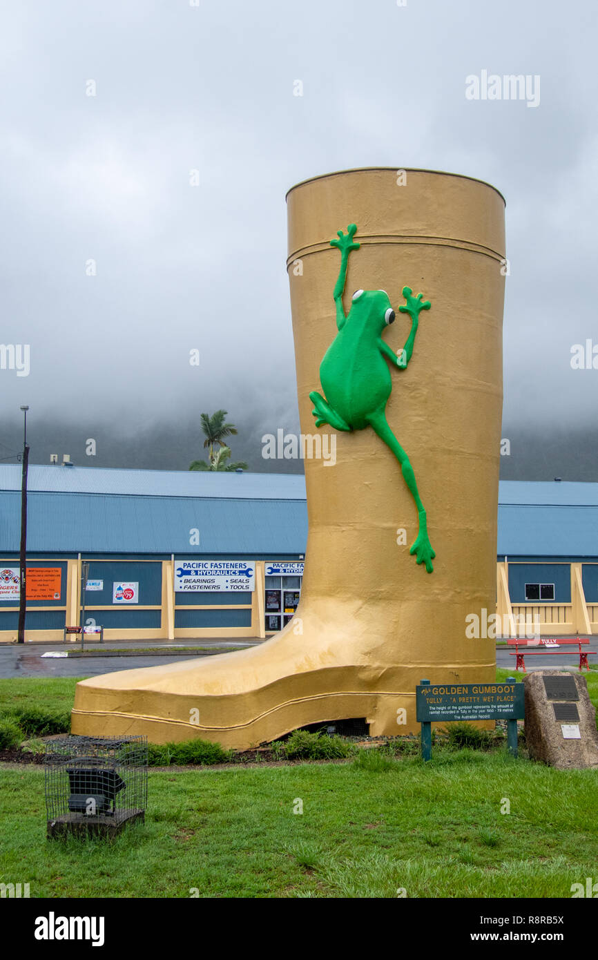 Die großen gumboot, eine australische große Ding in den feuchtesten Stadt in Australien, Tully, Queensland. Stockfoto