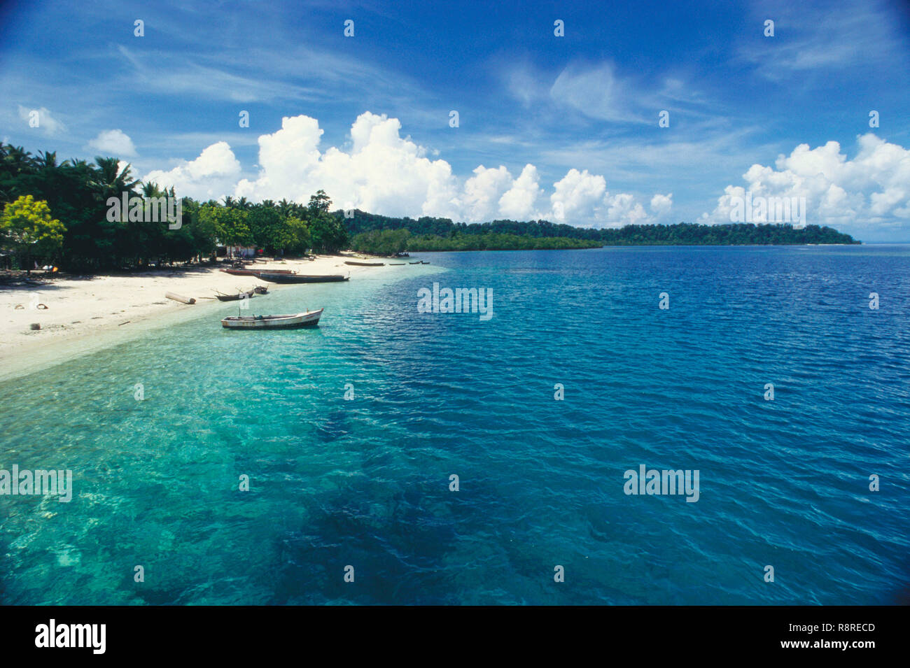 Havelock Strand, Port Blair, Andaman Inseln, Indien Stockfoto