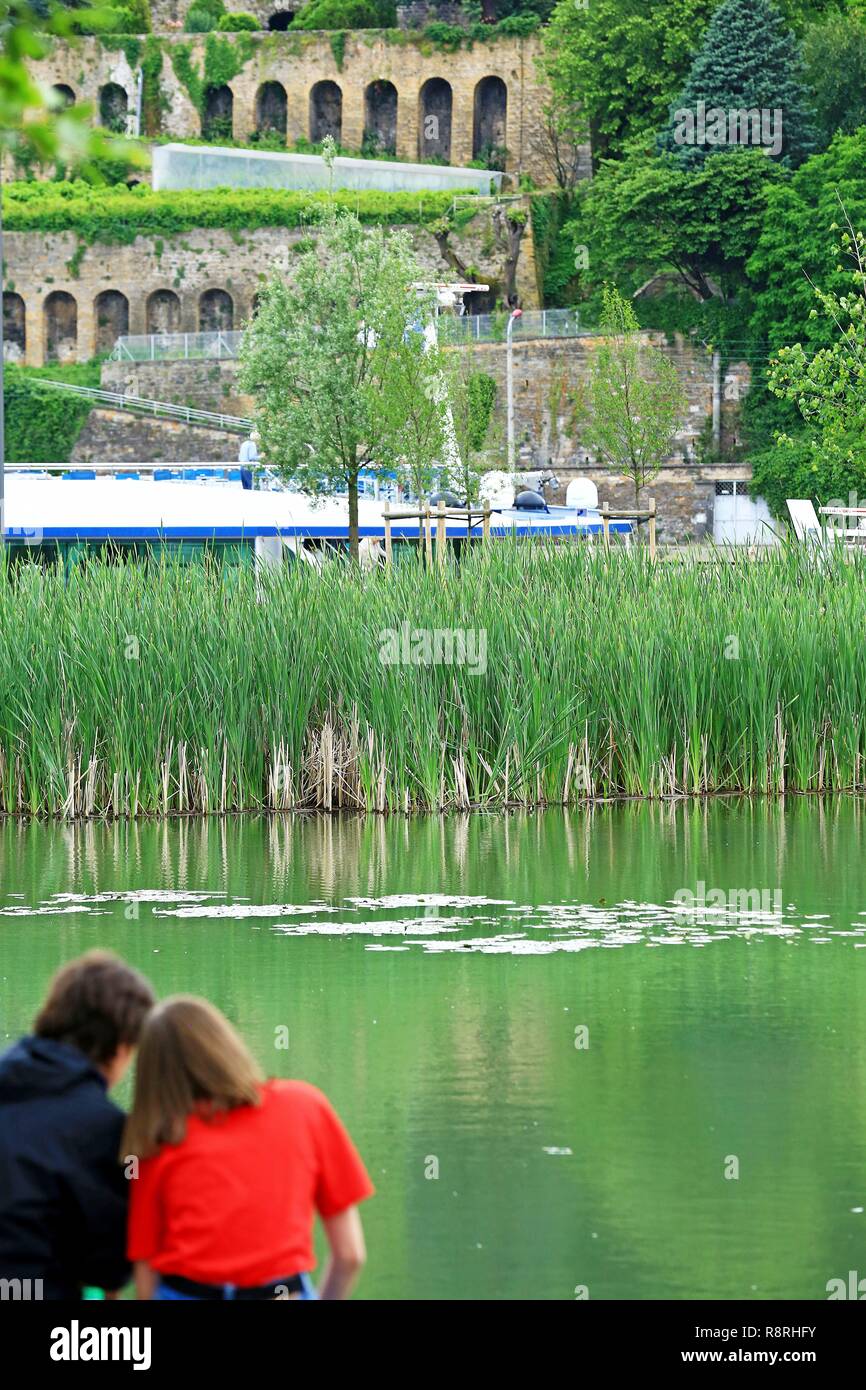 Frankreich, Rhône, Lyon, 2. Bezirk, La Confluence, La Saône, Jean Couty Wasser Garten, Rambaud Quay, der Botanische Garten in La Mulatière im Hintergrund Stockfoto
