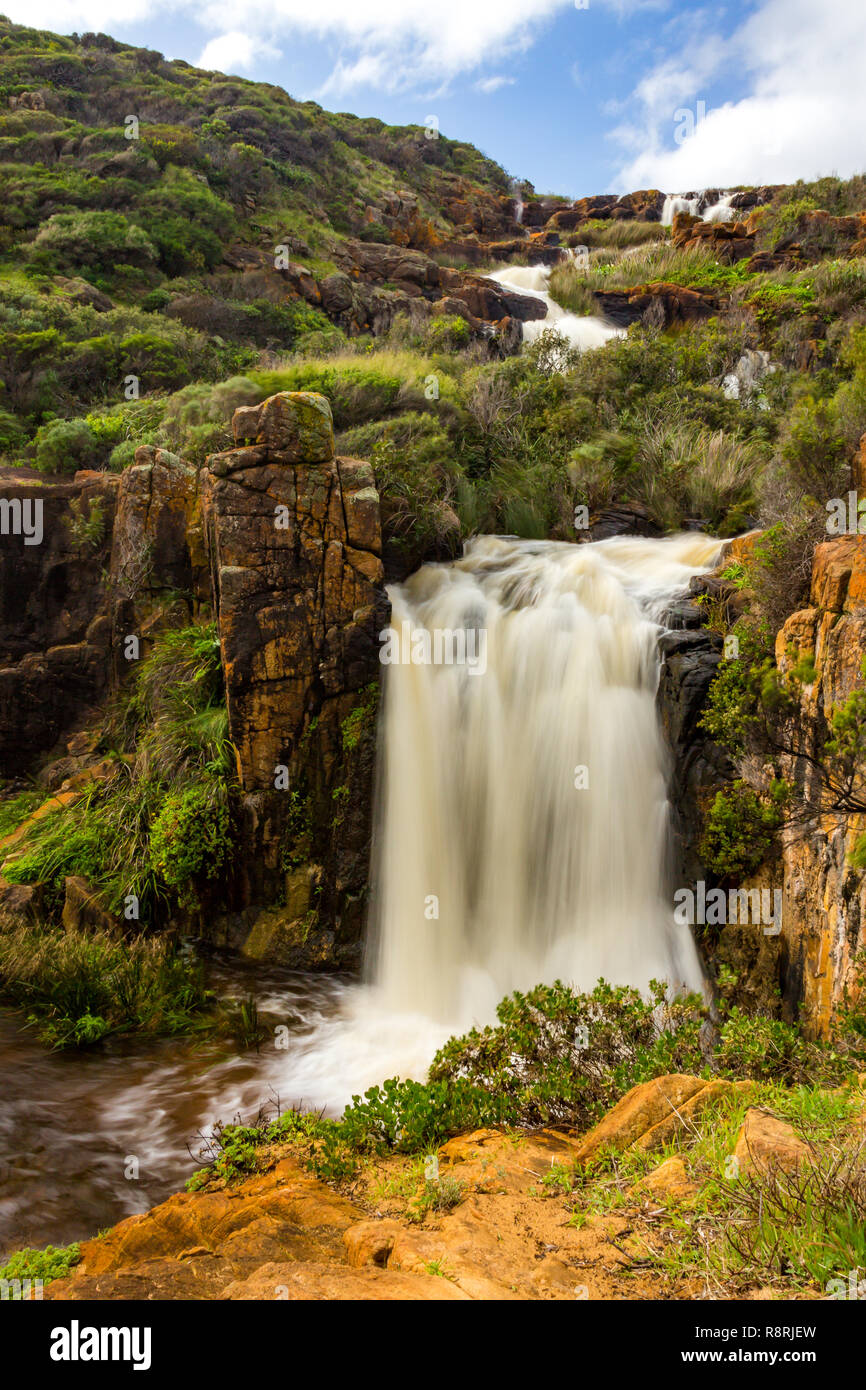 Quinninup fällt, Margaret River, Western Australien Stockfoto