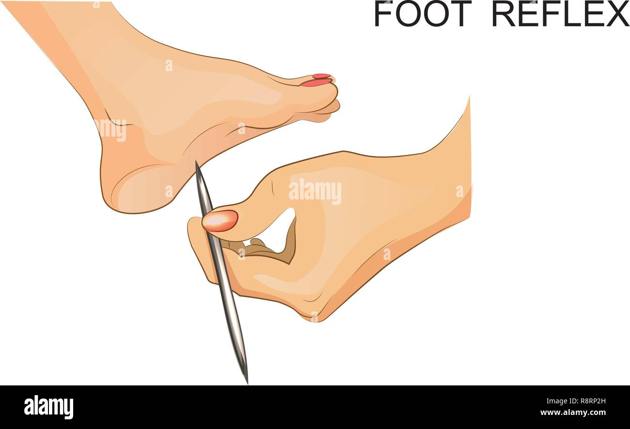 Vector Illustration der Reflexe des Fußes. Stock Vektor
