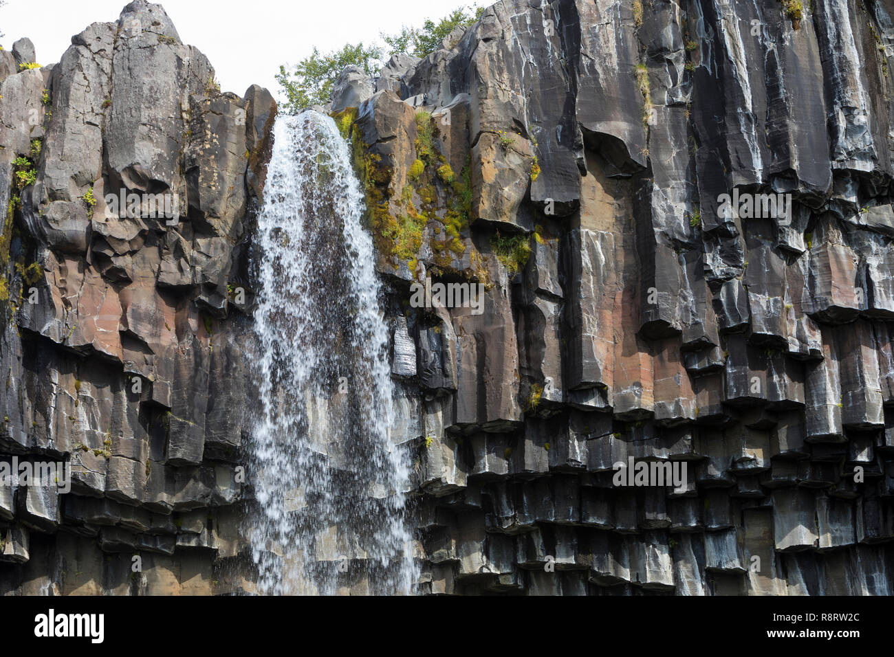 Wasserfall Svartifoss, der skaftafell-nationalpark chwarzer Wasserfall', im Südwest Inseln, den Vatnajökull Nationalpark, Stórilaekur stürzt über eine Fels Stockfoto