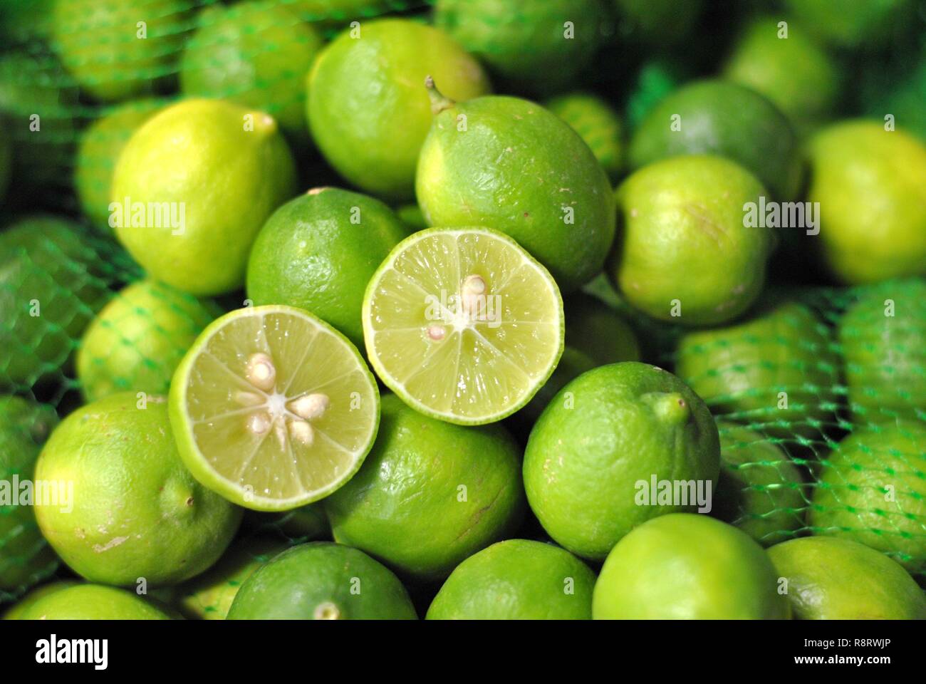 Limette (Citrus aurantifolia) Stockfoto