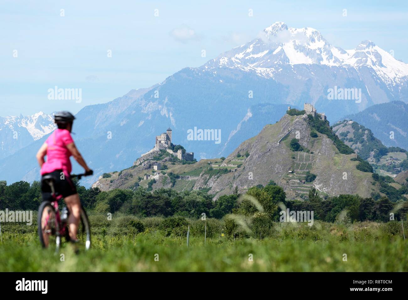 Schweiz, Kanton Wallis, Sion, Radweg entlang der Rhone, Schloss Tourbillon (13.) und der Basilika Unserer Lieben Frau von Valère (13.) auf dem Hügel im Hintergrund Stockfoto