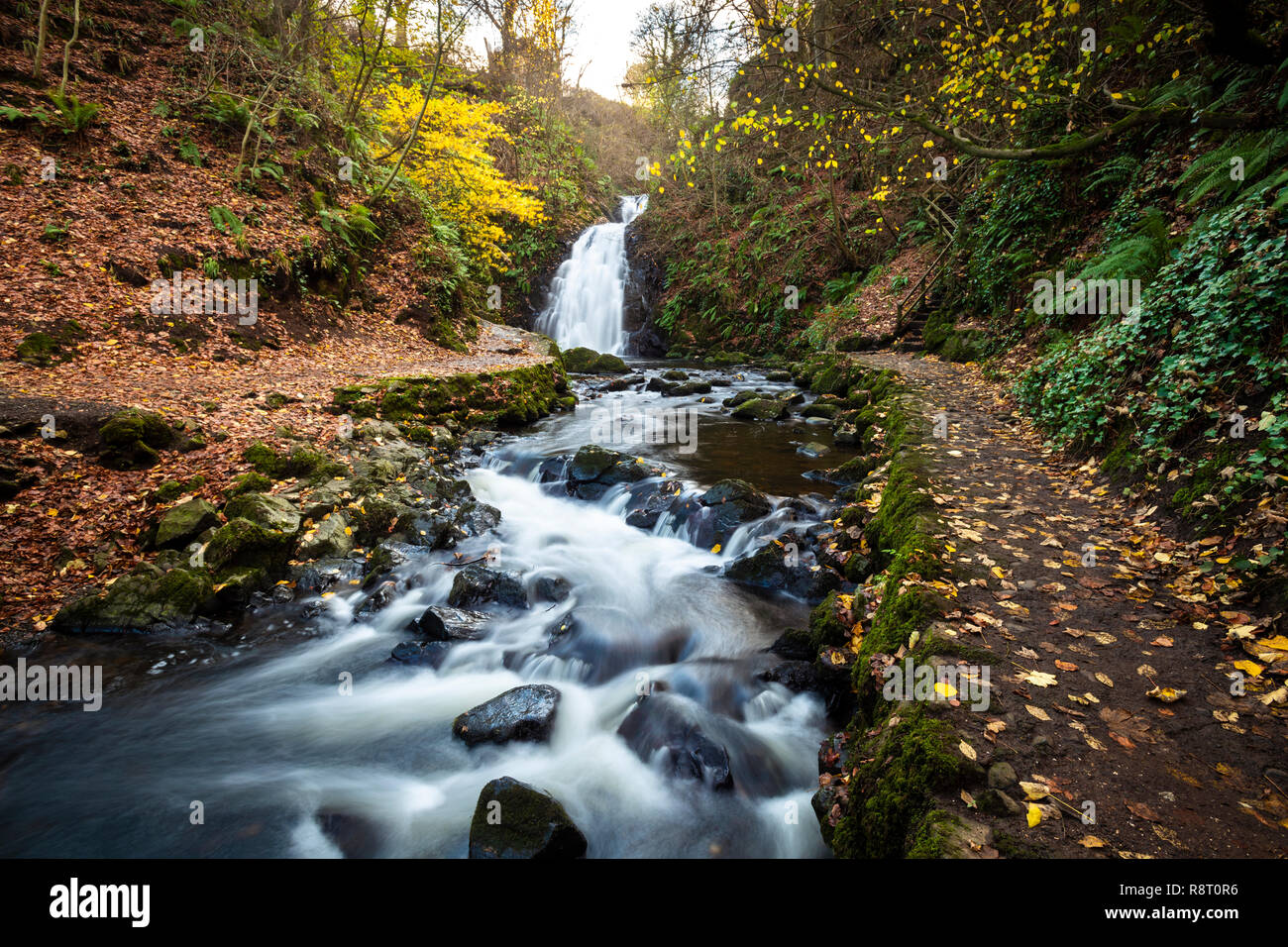 Wasserfall bei Glenoe in der Grafschaft Antrim Stockfoto